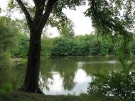 Мала Тимошівка з panoramio.com