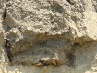 Пронозівка з panoramio.com