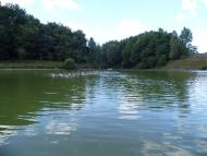 Ступаківка - Останні фото