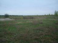 Здвижівка з panoramio.com