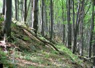 Прокурава з panoramio.com