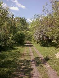 Агрономія з panoramio.com