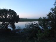 Меленці з panoramio.com