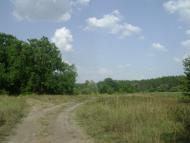 Крейдянка з panoramio.com