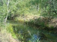 Білотин з panoramio.com