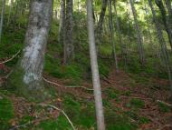 Прокурава з panoramio.com