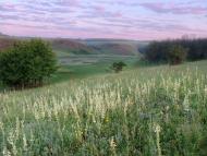 Кременівка з panoramio.com