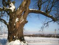 Підгірне з panoramio.com