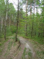 Климентовичі з panoramio.com