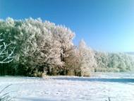 Заболоття з panoramio.com