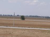 Нахідка з panoramio.com