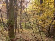 Великий Ключів з panoramio.com