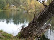 Букине з panoramio.com - Букине