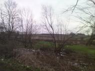 Темногайці з panoramio.com