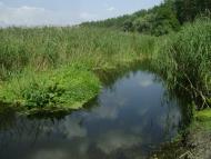 Крейдянка з panoramio.com