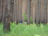 Зазим'я з panoramio.com