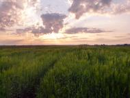 Мошни з panoramio.com