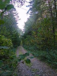 Петрове з panoramio.com