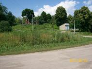 Пшеничники з panoramio.com