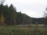 Зазим'я з panoramio.com