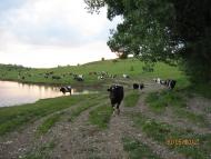 Добрин з panoramio.com