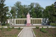 Петриківка з panoramio.com