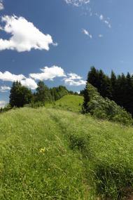 Лопушна з panoramio.com