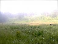 Делятин з panoramio.com - Делятин