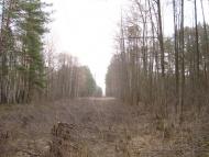 Климентовичі з panoramio.com