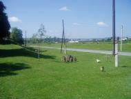 Гиновичі з panoramio.com