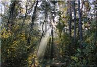 Борщів з panoramio.com