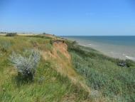 Партизани з panoramio.com