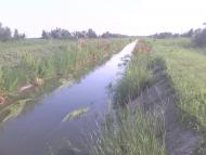 Червона Зірка з panoramio.com