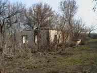 Шевченківське з panoramio.com