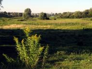 Черкаська Лозова з panoramio.com