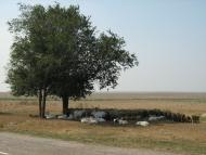 Батальне з panoramio.com