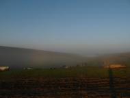 Тарноруда з panoramio.com