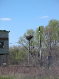 Крейдянка з panoramio.com