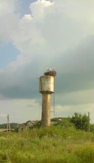 Великі Будища з panoramio.com