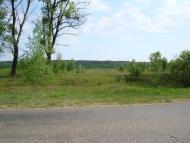 Здвижівка з panoramio.com