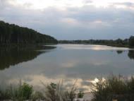 Рогощі з panoramio.com