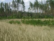 Крейдянка з panoramio.com