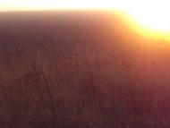 Сурсько-Литовське - Останні фото