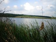 Северинівка з panoramio.com