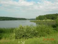 Северинівка з panoramio.com