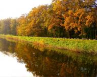 Зелений Гай з panoramio.com