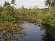 Бучин з panoramio.com