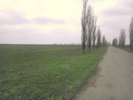 Водник з panoramio.com