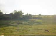 Раухівка з panoramio.com