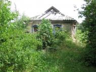 Саранчине з panoramio.com